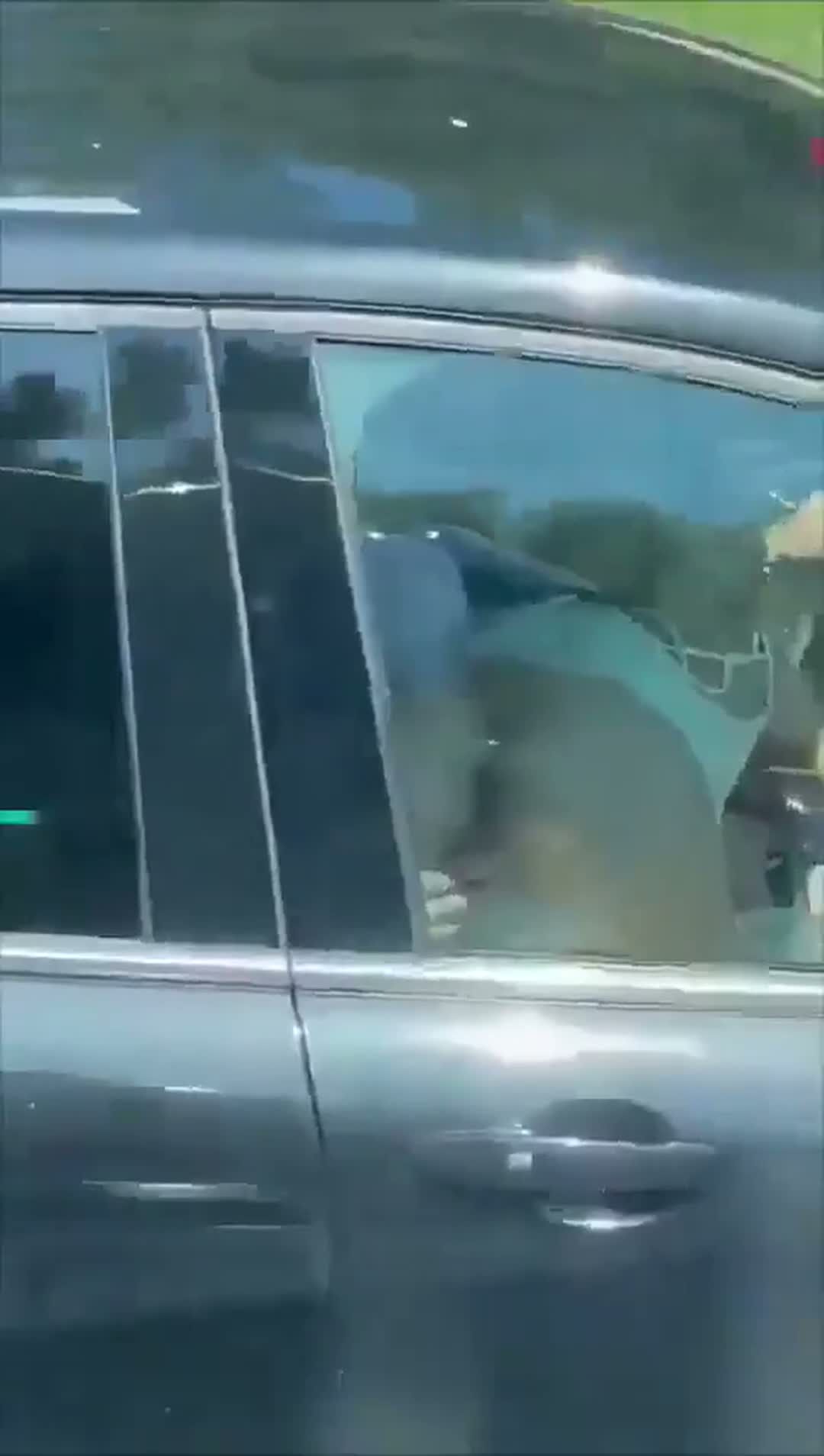 Amateur Public Blowjob In The Open